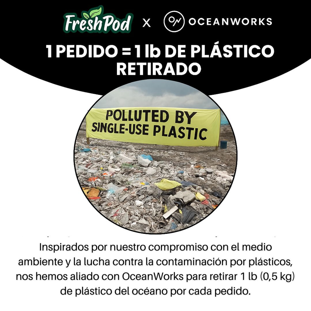 Kit x 4 Freshpod + Ebook Culinario Gratis